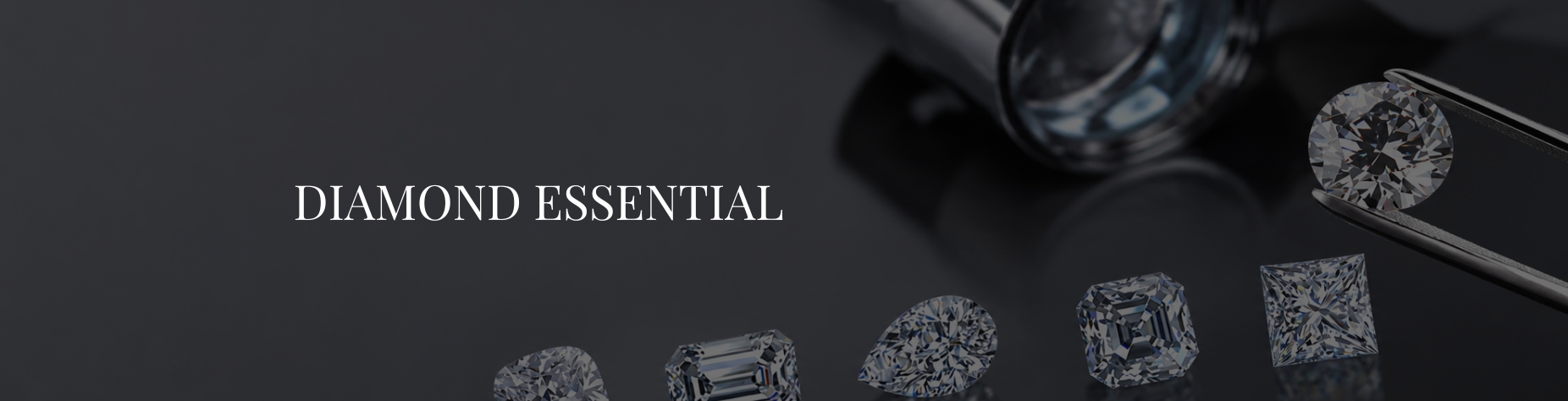 jewellery banner