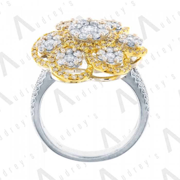 engagement